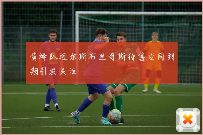黄蜂队迈尔斯布里奇斯待售合同到期引发关注